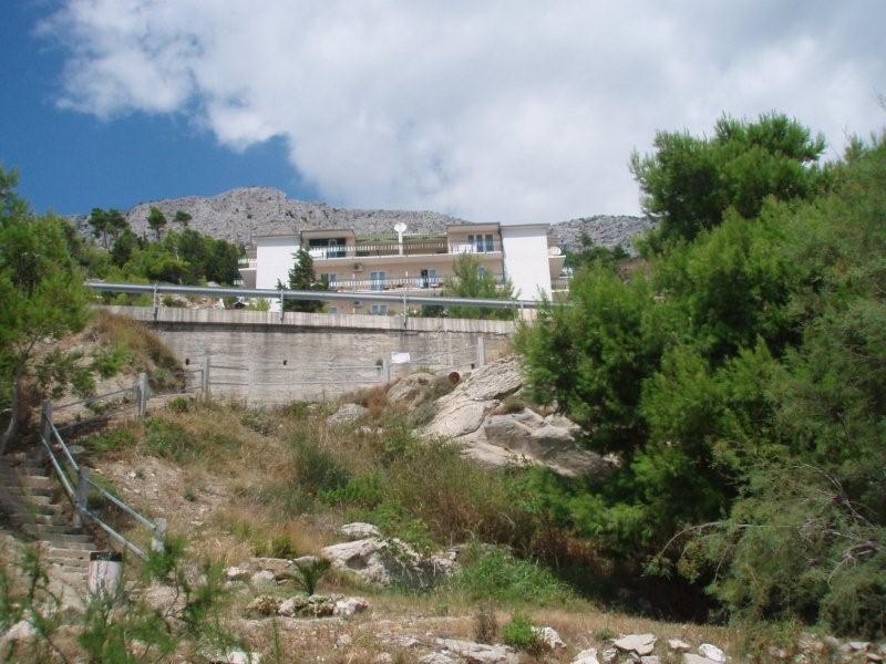 P8120053