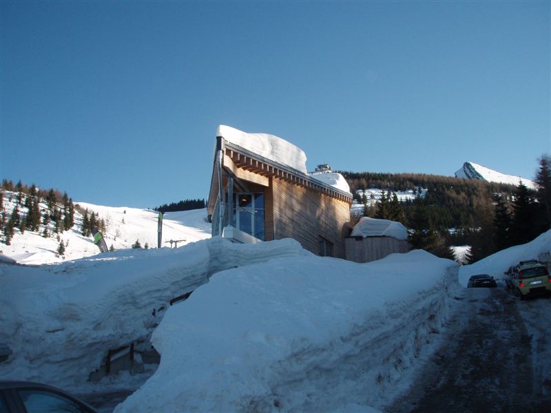 P31300351