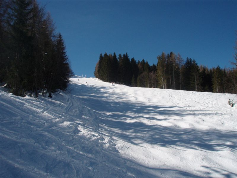 P3120008