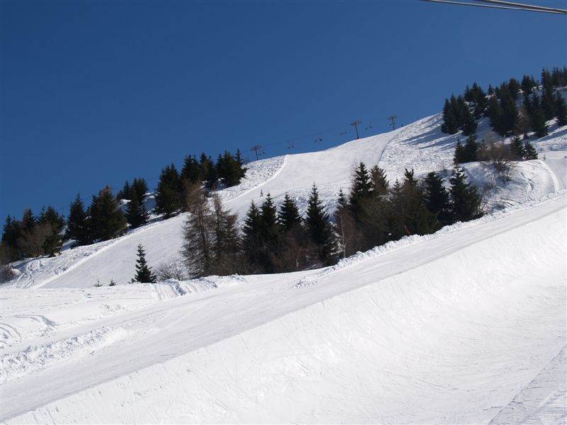 P1014902