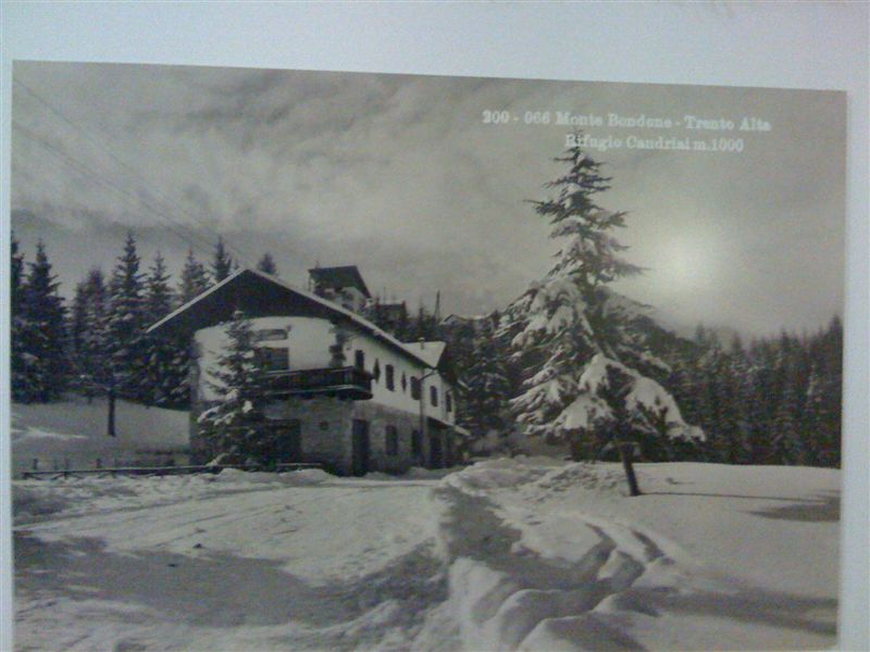 IMG 0321