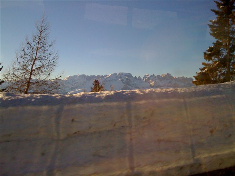 IMG 0233