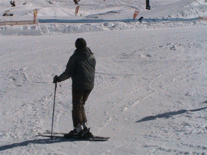 DSC00216