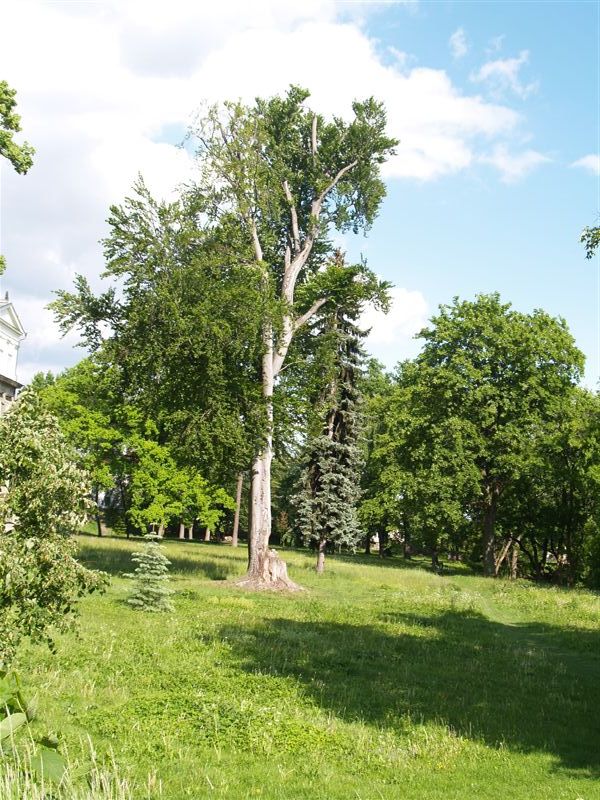 P1015205
