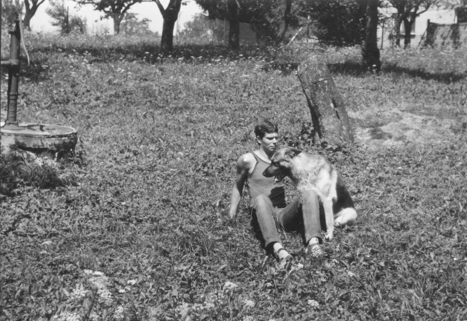 Michael a Jack-Brusne