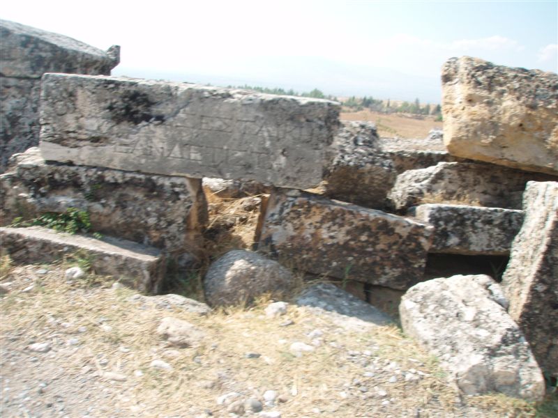 P9100154