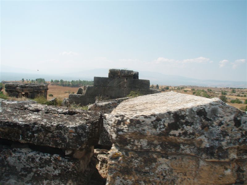 P9100153
