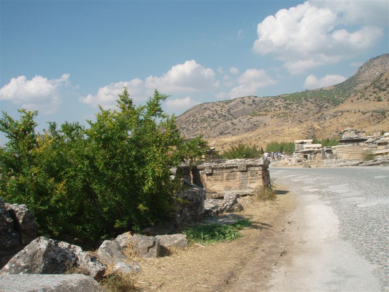 P9100152