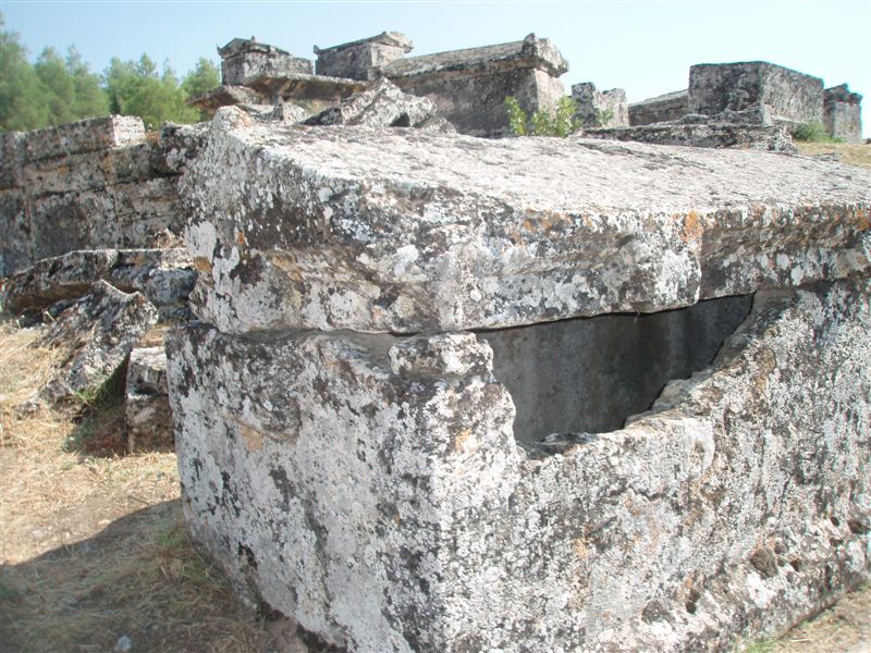 P9100151