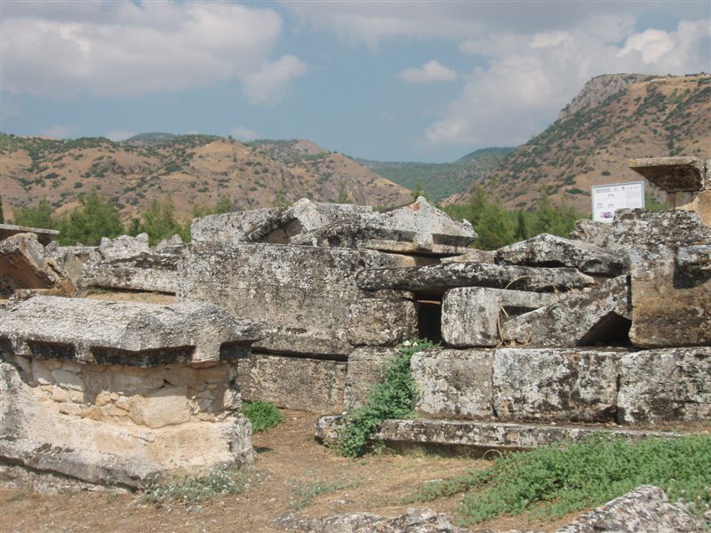 P9100148