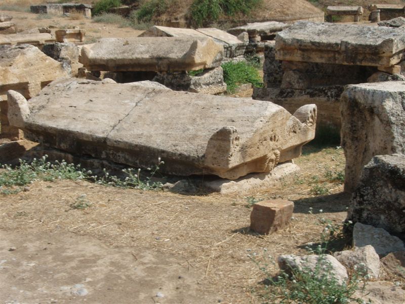 P9100147