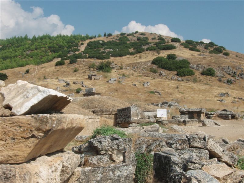 P9100145