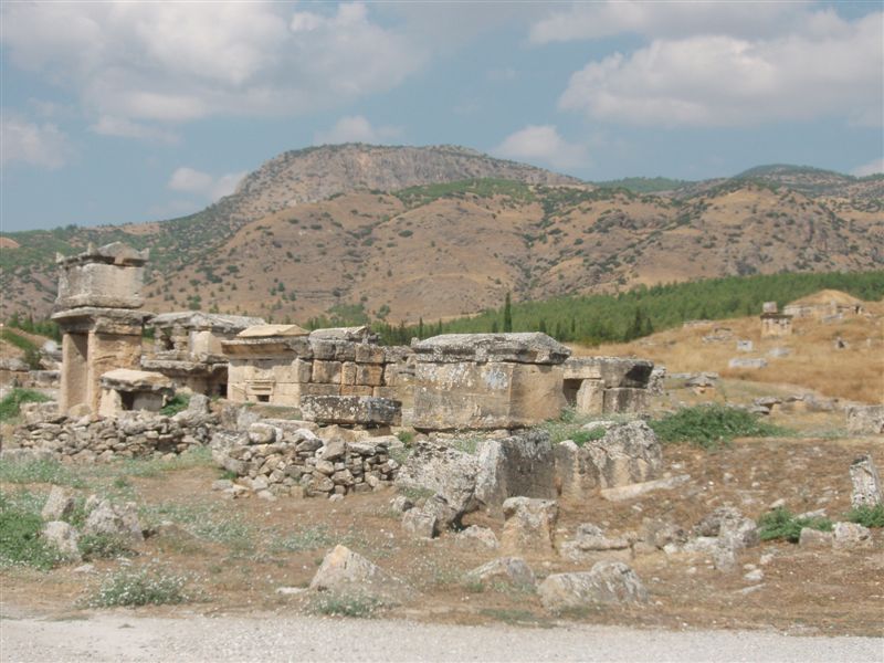 P9100142