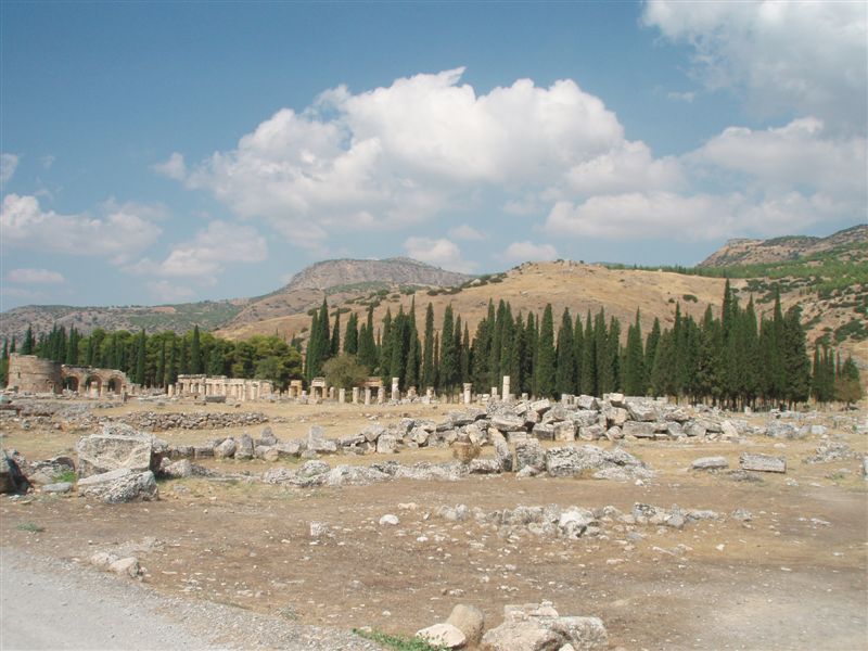 P9100136