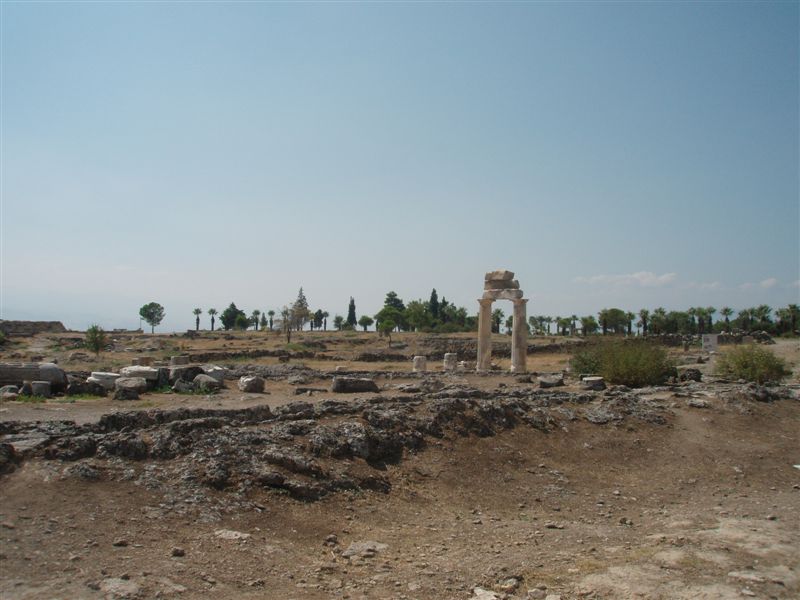 P9100129