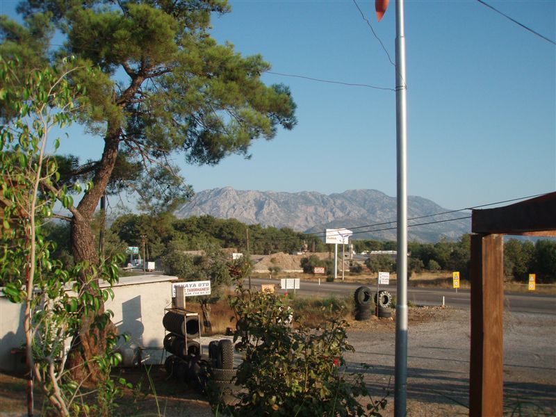 P9100099