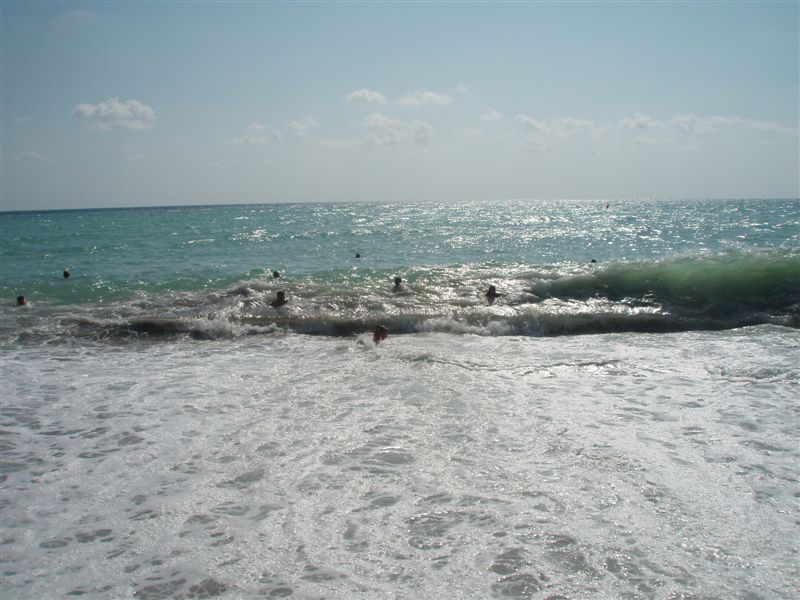 P9090053