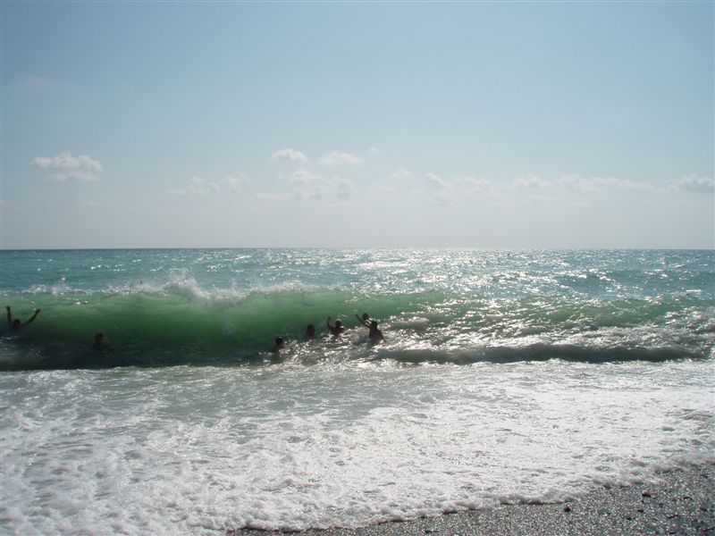 P9090051