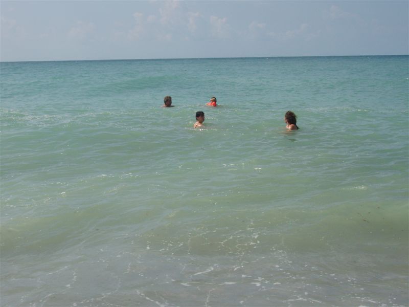 P9090046