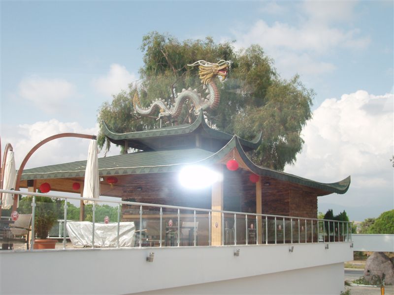 P9080022
