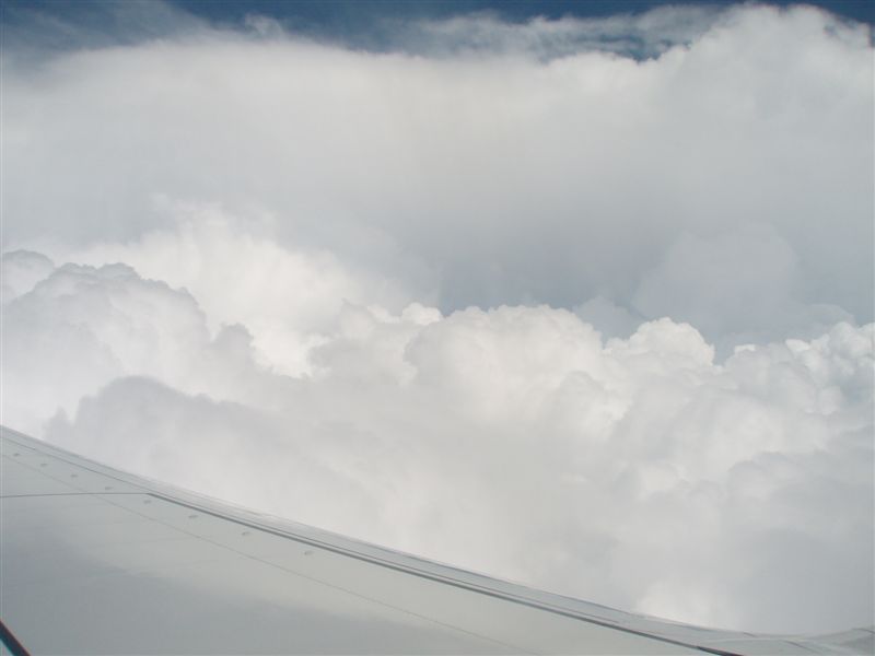 P9080011