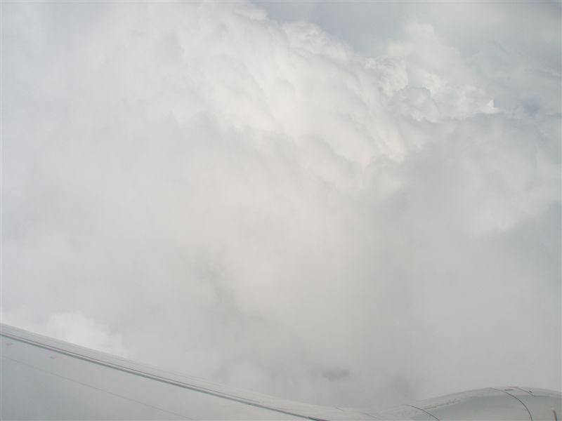 P9080010