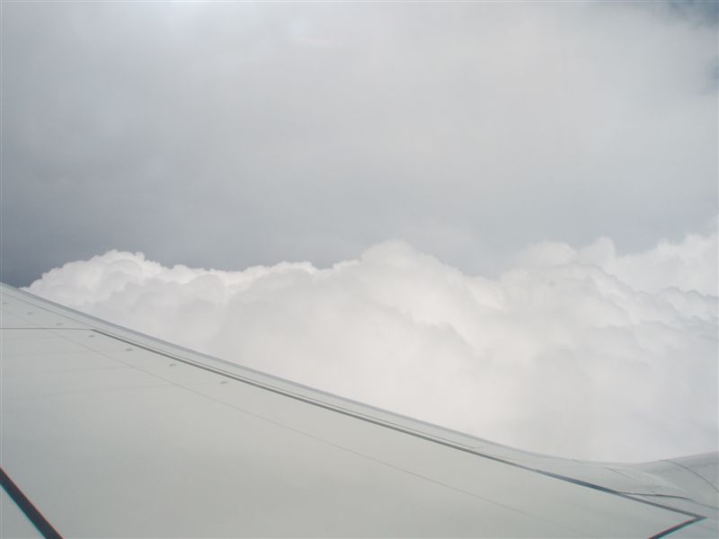 P9080008