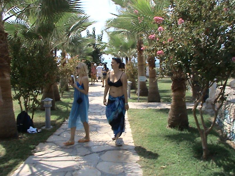 DSC00084