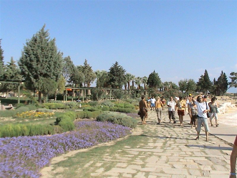 DSC00069