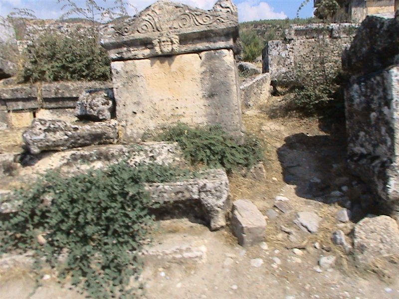 DSC00020