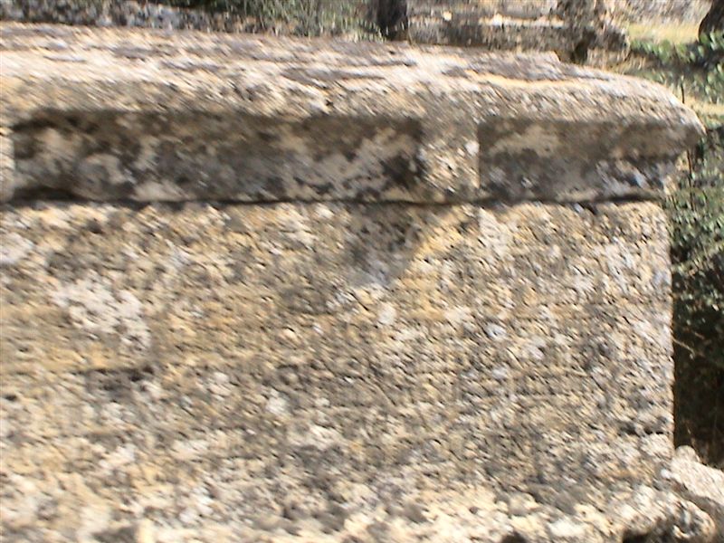 DSC00017