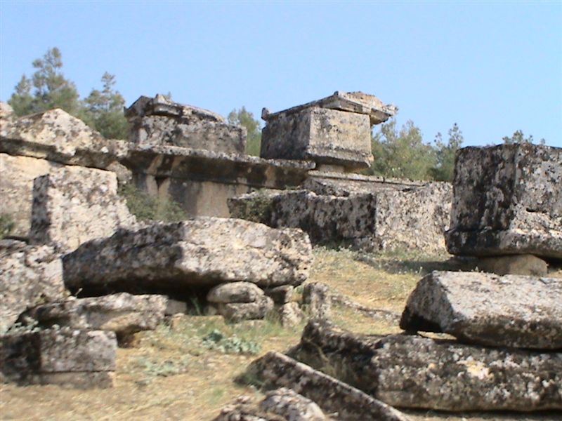 DSC00016