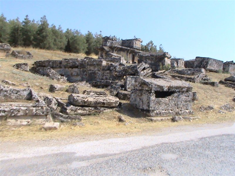 DSC00015