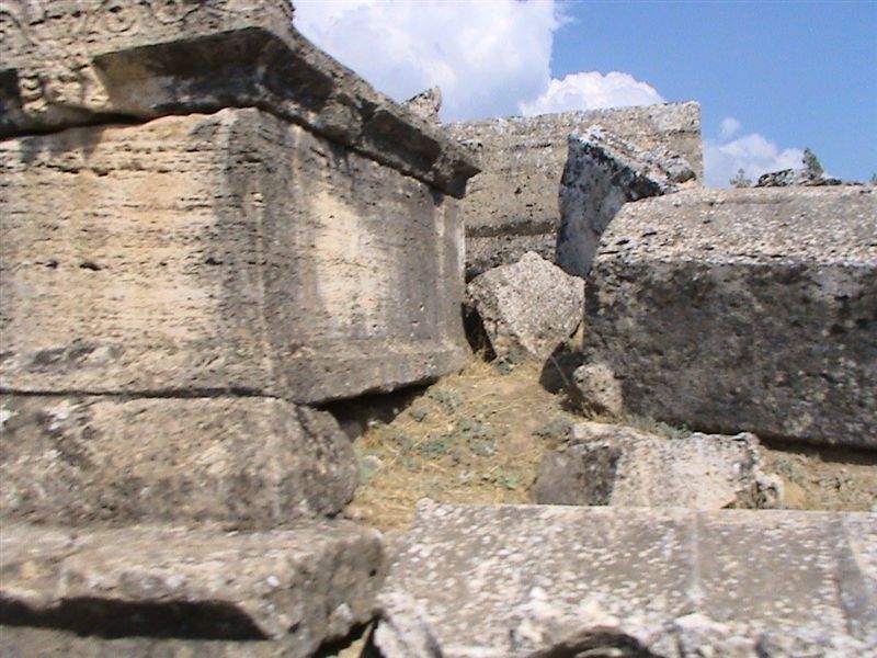 DSC00012