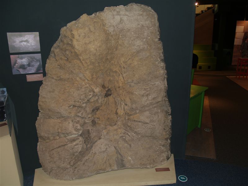 P1015690