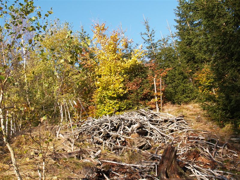 P1015571