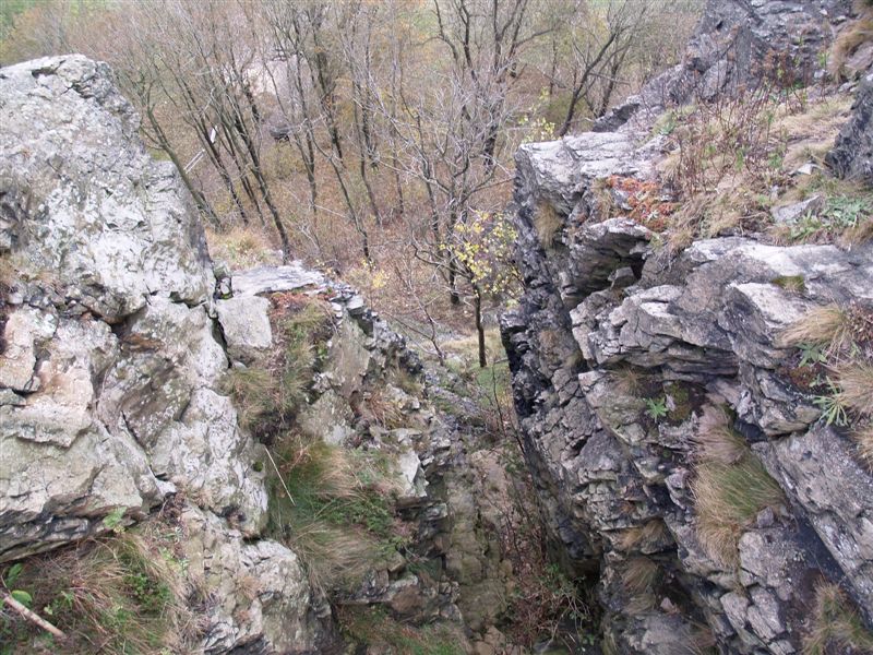 P1015549