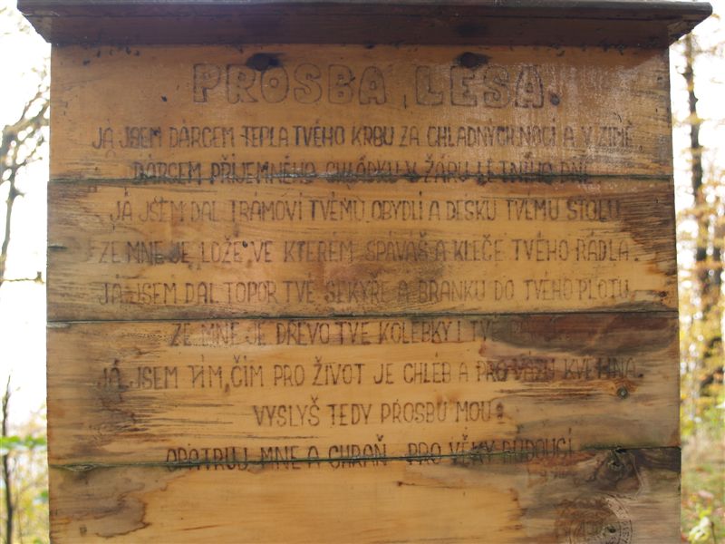 P1015492