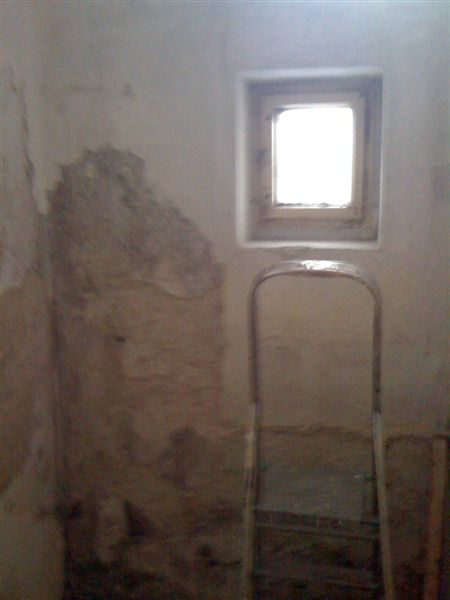 IMG 0481