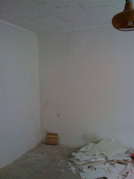 IMG 0472