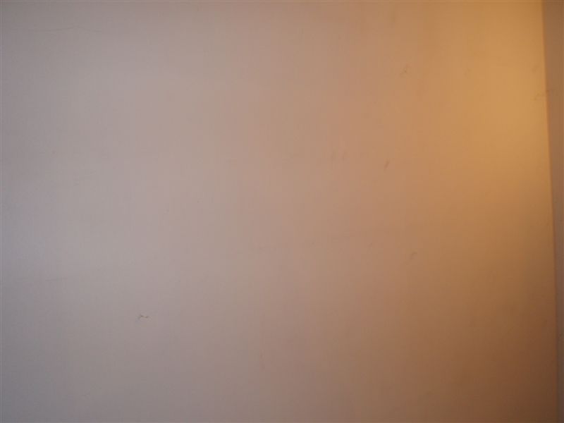 P1110316