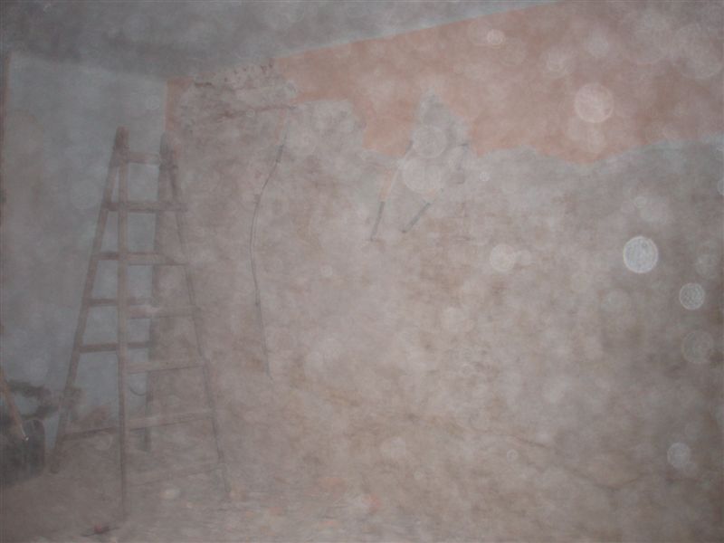 P1200411