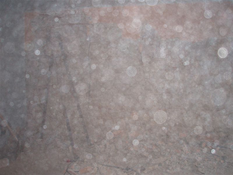 P1200409