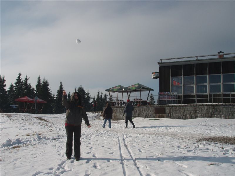 PA230322